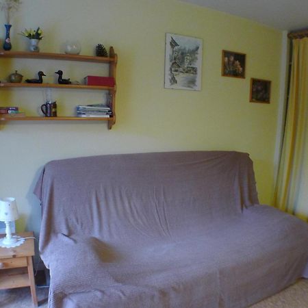 Studio Cosy Au Centre De Samoens Avec Parking Privatif - Fr-1-629-118 Extérieur photo